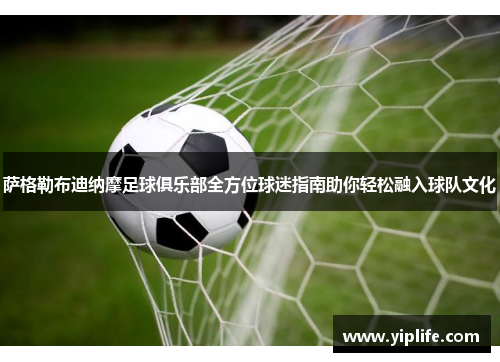 萨格勒布迪纳摩足球俱乐部全方位球迷指南助你轻松融入球队文化