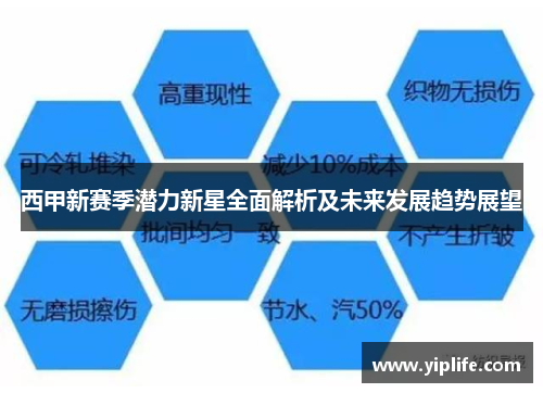 西甲新赛季潜力新星全面解析及未来发展趋势展望